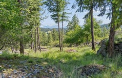 175 Aerie Place, Bigfork, MT 59911