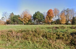 Ackerly Rd & Waverly Rd, Dalton, PA 18414