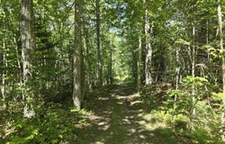 French Road, Levant, ME 04456