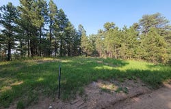 8335 Zorn Rd, Rye, CO 81069