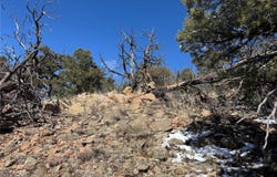 1214 Kevin Drive, Cotopaxi, CO 81223