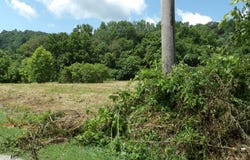 5.6ac Lonnie Reecer Rd, Celina, TN 38551