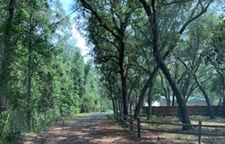 130 Lagrange Road, Freeport, FL 32439