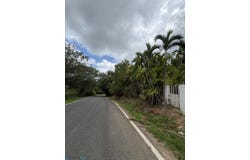 Cedro Abajo, Naranjito, PR 00783