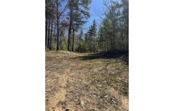 865 Wintree Drive, Indian River, MI 49749