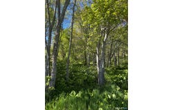 408 Martin Road, Hebron, CT 06248