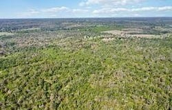 High Grove Rd, Cedar Creek, TX 78612