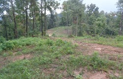 Atwell Mtn Rd, BRADSHAW, WV 24817
