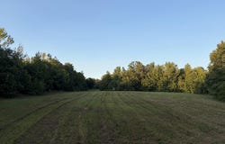 36 County Road 284, THAXTON, MS 38871