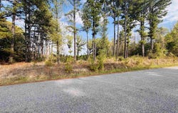 Womack Road, Bald Knob, AR 72010