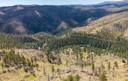 693 Cougar Dr, Bellvue, CO 80512