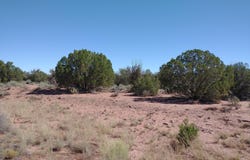 4253 Indian Bend Road, Snowflake, AZ 85937