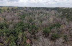 T.B.D. State Route 850, Grayson, LA 71435
