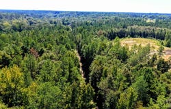 Pheasant Rd, Gilbertown, AL 36908