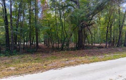 639 NE 298th Ave, Old Town, FL 32680
