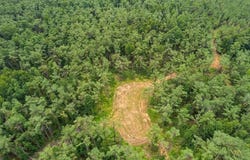 CR 371, WATER VALLEY, MS 38965