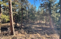 Pine Dr, Lyons, CO 80540