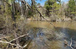 CR 2343 & CR 2339, Douglassville, TX 75560