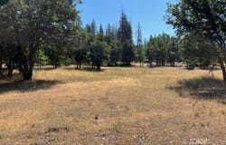 200 Creek Crossing Rd, Hayfork, CA 96041