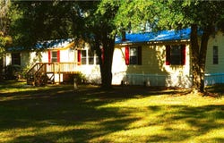 515 NE JACARANDA TER, Lee, FL 32059
