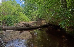 Christian Hts Road, Braxton, MS 39044