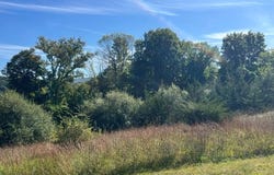 11 Buttonwood Road, Dover Plains, NY 12522