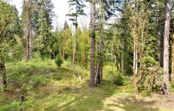 Boscage, Springfield, OR 97478