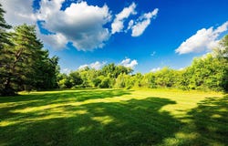 951 E Square Lake, Troy, MI 48085