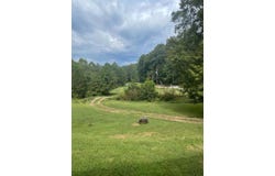 43 LEFT FORK RD, Alkol, WV 25501