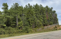 220 AR-314 Highway, Plainview, AR 72857