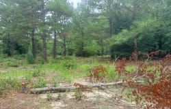 2252 Windsor Road, Springfield, SC 29146