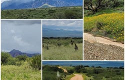 E Tom Jeffords Drive, St. David, AZ 85630