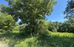Fishing River Road, Excelsior Springs, MO 64024