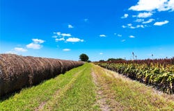 FM 621, Martindale, TX 78655