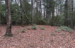 Deer Antler Drive lot: 82, Purlear, NC 28665