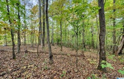 4501 MCGILL TERRACE lot: 25, HOOVER, AL 35226