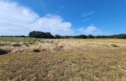 Indian Camp Trl, Kempner, TX 76539