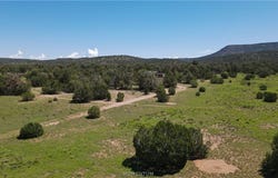 53555 N Markham Pass, Seligman, AZ 86337