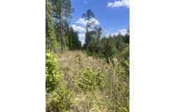 Goodman Hill Road, Chipley, FL 32428