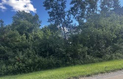 W Ranger Road, Perrinton, MI 48871