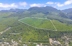 Shark Creek Ln, ArchCape, OR 97102