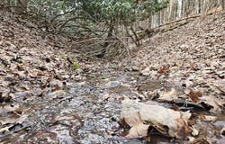 Sawmill Hill Road, Willis, VA 24380