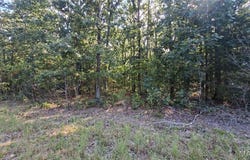 Oak Ridge Dr, Bonne Terre, MO 63628