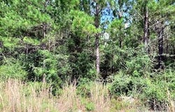 Teton Crest Dr lot: 35, Pace, FL 32571