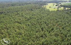 W Highway 4, Century, FL 32535
