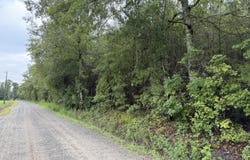 Markham Rd, Ridgeville, SC 29472