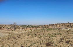 98th Street E, Juniper Hills, CA 93543