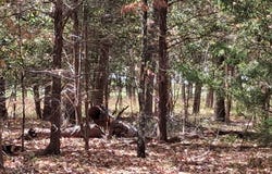 Hideaway, Murchison, TX 75778
