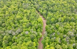 DAVID RD lot: 3, Gleason, WI 54435