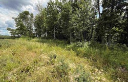 Lakestone lot: 19, Merrimac, WI 53578